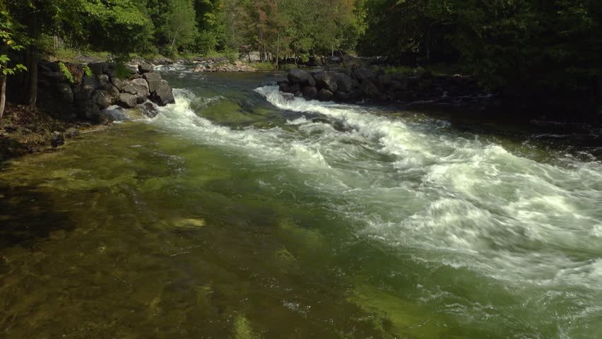 The Gull River with a beautiful tongue shaped rapid flowing downstream surrounded by forest on a sunny day in the summer.