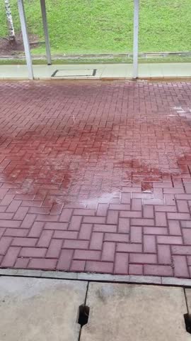 Rain-soaked walkway with concrete drains, wet brick pavement, and covered structure beside grassy slope and tree.