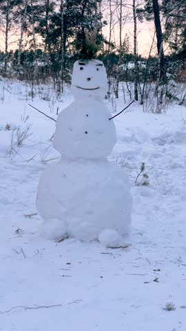 Snowman in snowy forest during winter
