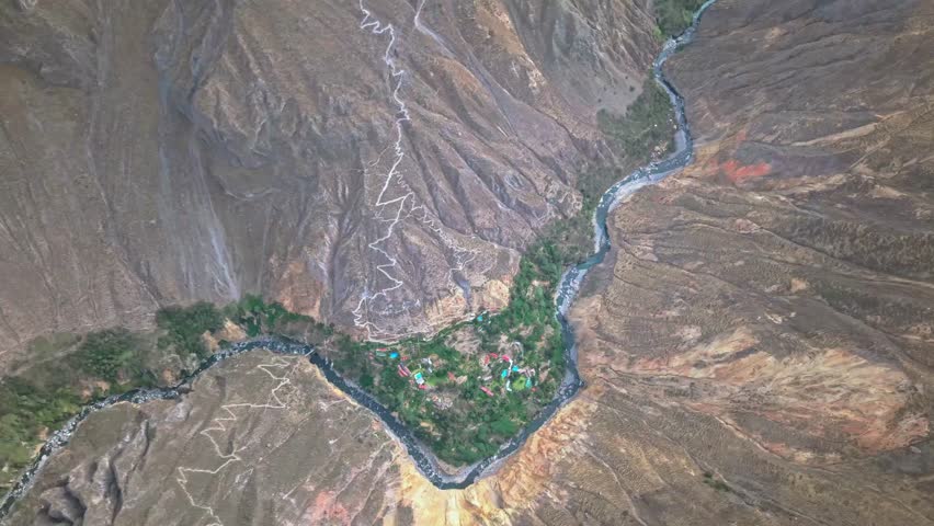High-altitude drone follows bold green vegetation spreading from Rio Colca through the canyon floor, trees form a river of life by flowing water contrasting sharply with barren Colca Canyon landscape