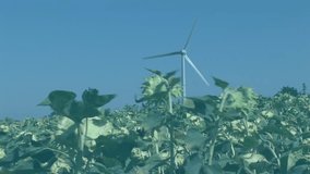 Animation of financial data processing over wind turbine. Global ecology, finances and digital interface concept digitally generated video. - Powered by Shutterstock - Get 15% off with code: PIKWIZARD15