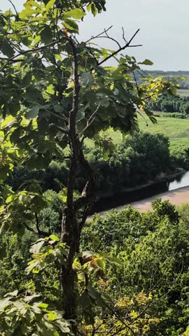 Beautiful summer view of the Cuivre River Valley near Troy, Missouri