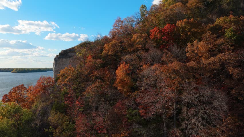 Cinematic drone footage rising over tree-covered river bluffs near Elsah, Illinois. Vibrant autumn foliage contrasts with the Mississippi River below beneath a sunny blue sky.