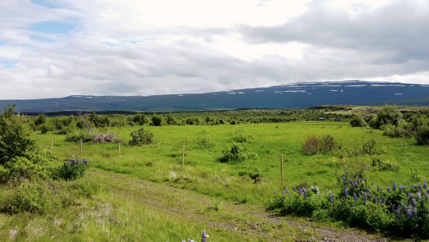 Aerial drone view of Iceland countryside showing wide green fields, scattered shrubs and distant hills. Open landscape under cloudy sky reflects calm rural nature