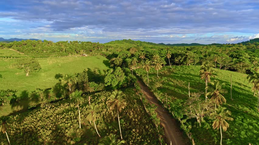 Summer sunset in a tropical jungle. Luxurious palm trees against a backdrop of mountains under a colorful sky. Amazing evening landscape. Dream sunset over tropical forest. A natural landscape.