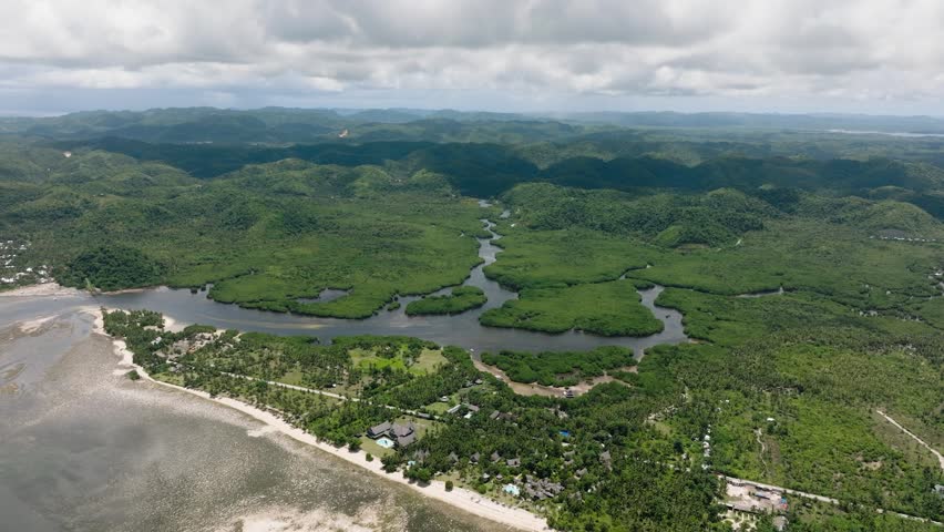 Mangrove forest with river channels flowing into coastal shore under cloudy sky. Siargao, Philippines.