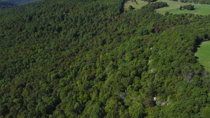 Uninterrupted hardwood canopy sprawls across valley, subtle ridgelines in Ozark National Forest, Arkansas