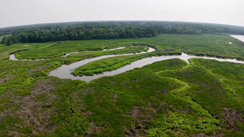 Drone aerial footage of a winding river meandering through lush green wetlands and grassy fields near Charleston South Carolina.