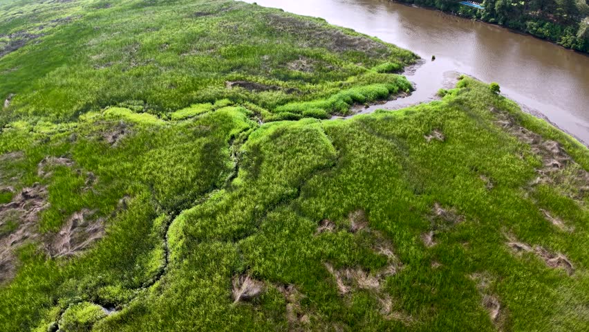 Aerial drone shot of vibrant green marsh islands connected by narrow strips of land in shallow tidal waters near Charleston South Carolina.