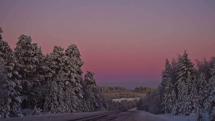 a pink sunset in winter over a road in the middle of a snow-covered forest, Christmas trees in the snow
