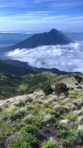 Mountain Peak Rising Above Sea of Clouds Under Blue Sky