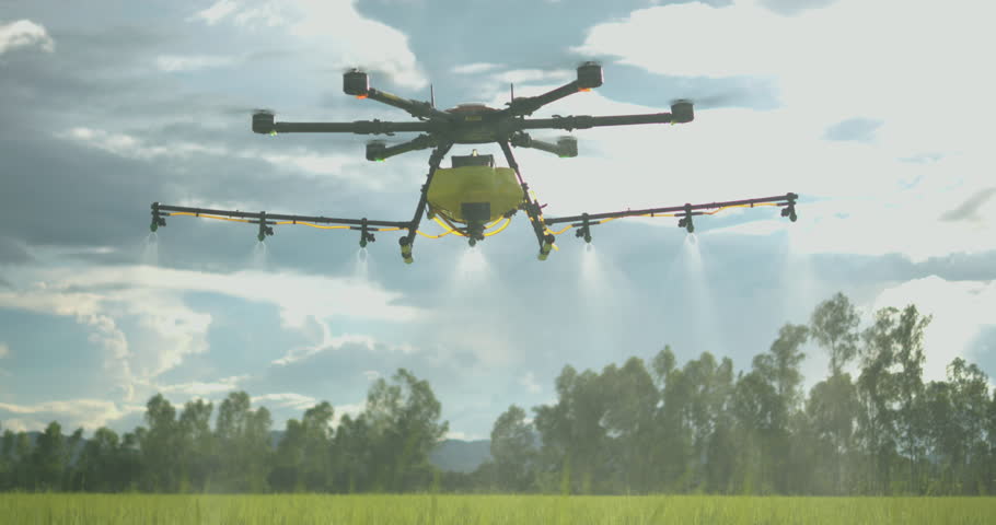 Agriculture drone flying over green rice paddy field spraying water, pesticides, fertilizers, chemicals and other inputs liquid, smart farming technology
