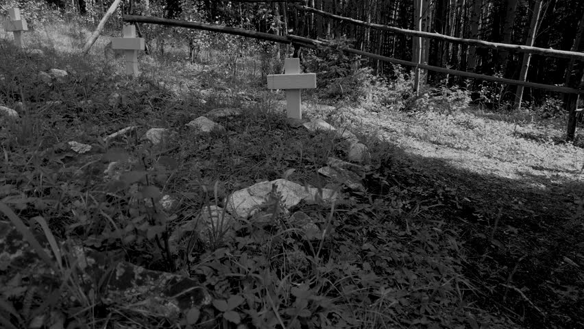 Unmarked graves with wooden crosses fill this old historic graveyard in the mountain forest outside an old mining boomtown in Colorado.  Walk by multiple burials uphill. Eerie Black and white film.