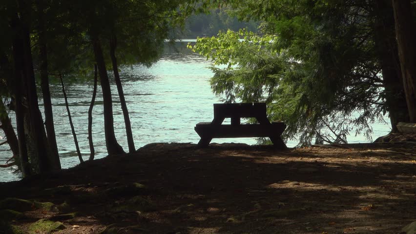 A clearing in a shaded forest with a wooden park bench beside a river during a sunny day in the summer.