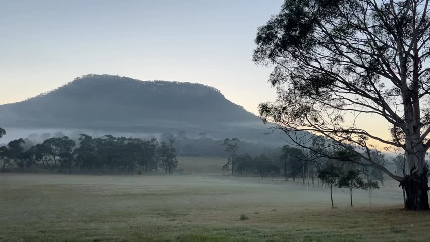 Morning rural NSW with beautiful birdsong mountain