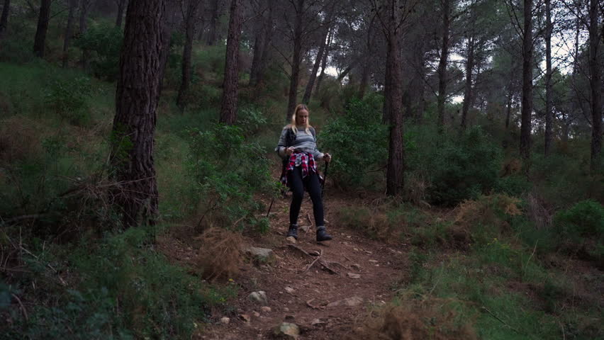 Young woman with trekking poles walking down steep path in pine forest. Active person enjoying nature and outdoor physical activity. Active lifestyle concept 