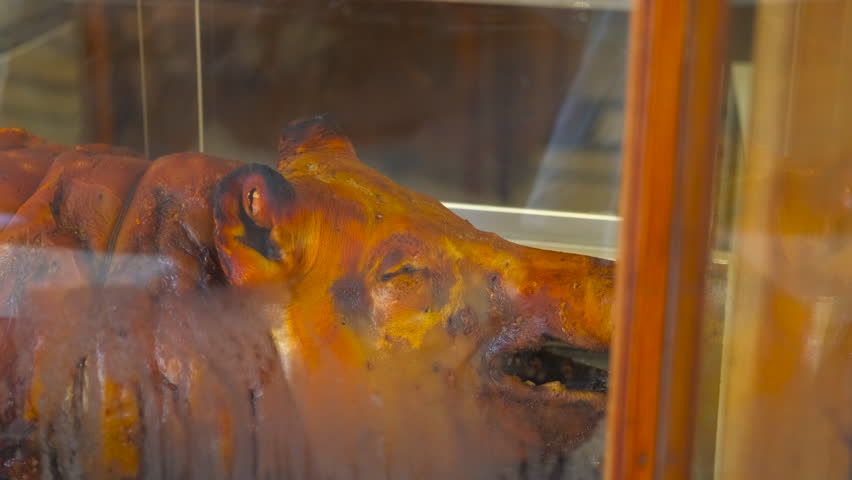 Roasted pig displayed in deli showcase. Whole roasted pig featuring golden-brown crispy skin proudly displayed in deli showcase, presenting traditional gourmet culinary craftsmanship