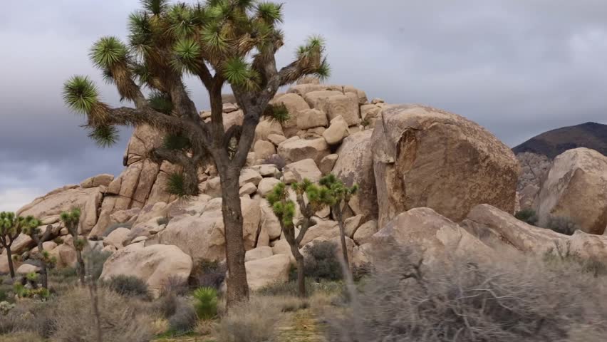 Breathtaking Panoramic View of Joshua Tree National Park Desert Rock Formations