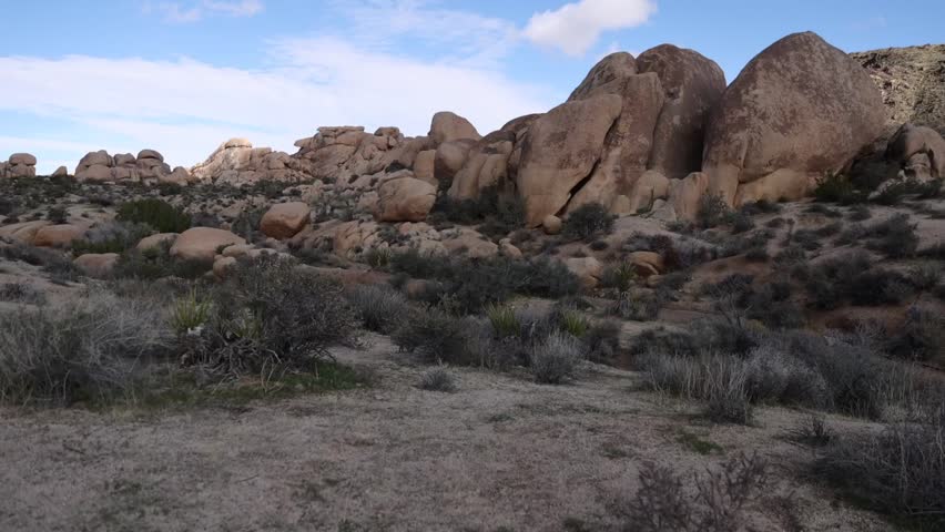 Breathtaking Panoramic View of Joshua Tree National Park Desert Rock Formations