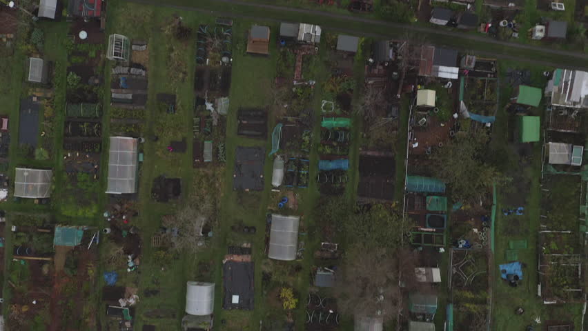 Overhead aerial shot of allotments including polytunnels, gardening, greenhouses for growers
