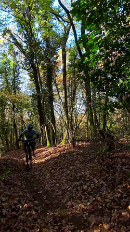 Cyclist riding an electric mountain bike through a lush forest trail on a sunny day