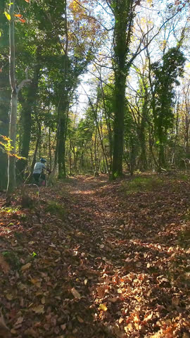 Cyclist riding an electric mountain bike through a lush forest trail on a sunny day