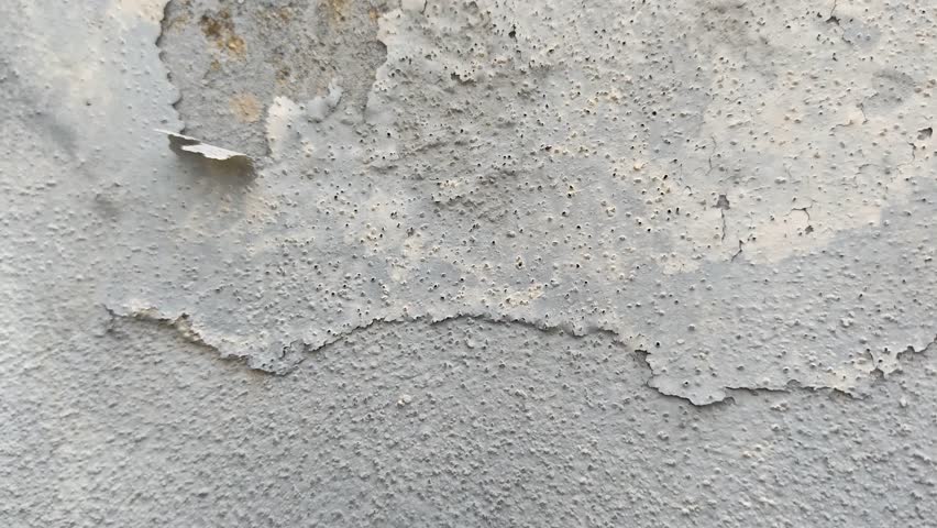 peeling painted on the surface of the outer layer wall. 