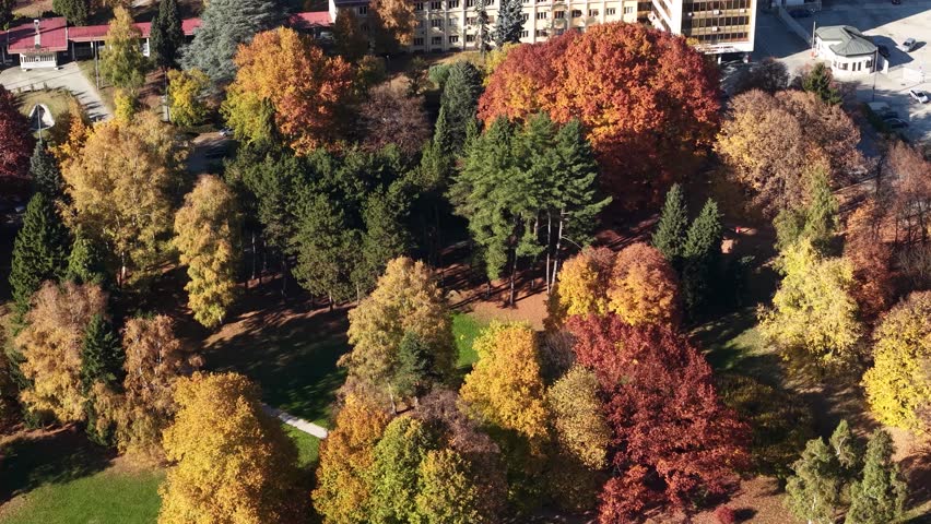 Drone Shot of Colorful Trees in Beautiful Park on Sunny Autumn Day