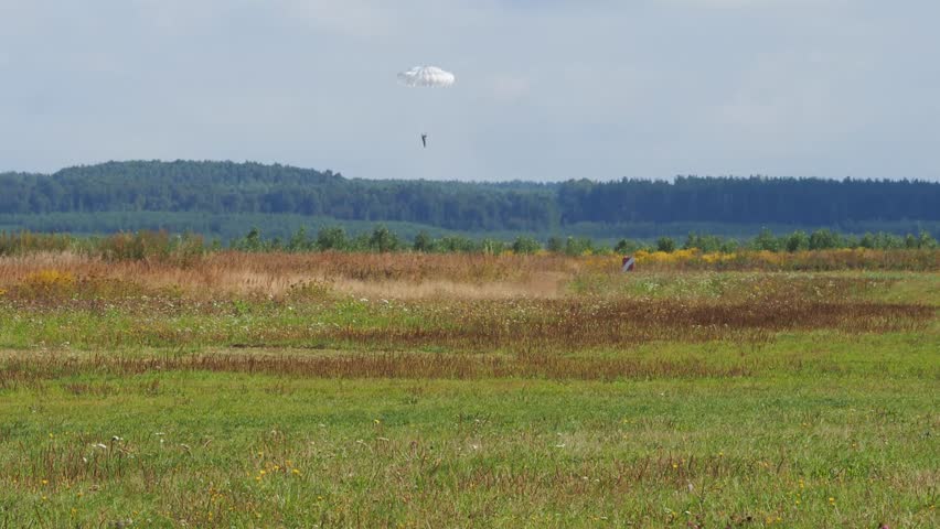 Parachutists land on the runway of an airfield. Parachute jump.