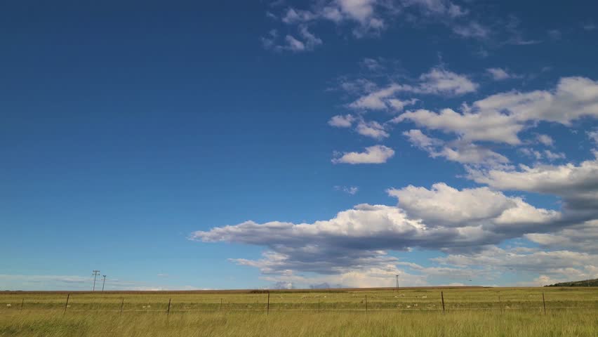 Wide Open Grassland Under Blue Sky with Clouds