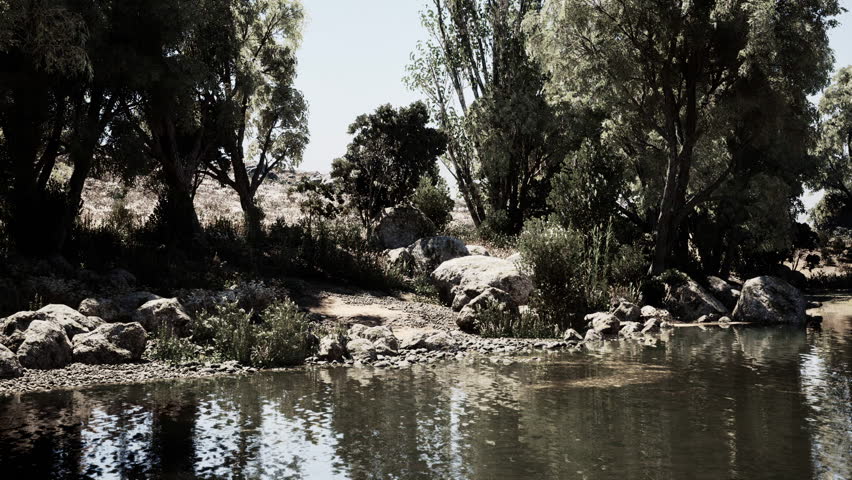 A serene riverside setting featuring lush greenery, smooth stones, and calm waters reflecting the surrounding trees under bright midday sunlight. The peaceful environment invites relaxation.