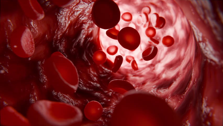 Realistic 3D medical animation showing red blood cells flowing through a human artery, illustrating blood circulation and cardiovascular system processes