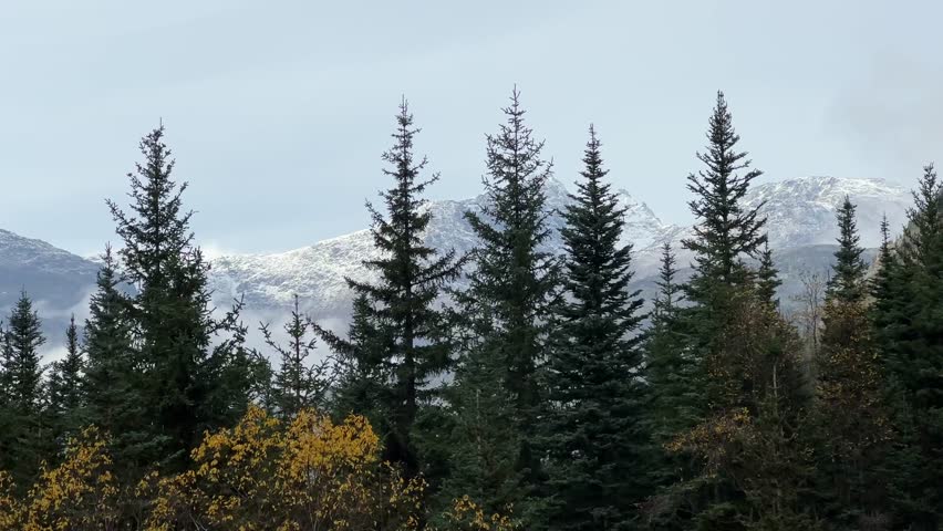 Handheld shot from a moving White Pass train of the scenic mountainous landscape during autumn in Skagway, Alaska. 4K at 60 FPS Slow Motion