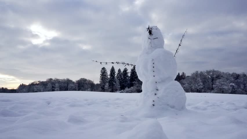 Building a snowman at the edge of the forest in winter