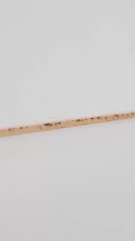 Close-up of a dirty bathroom tile corner with stained grout and black mold buildup along the joint, showing moisture damage and cleaning need.