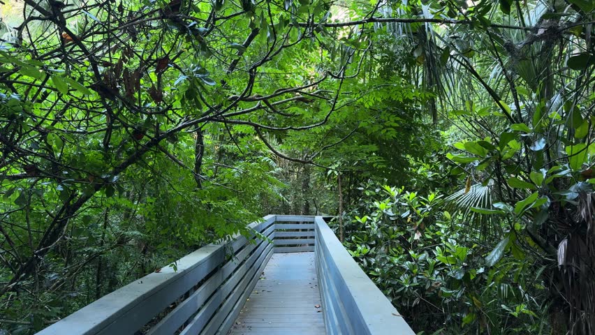 A narrow wooden boardwalk leads through a lush green forest. Overhanging branches and leaves create a peaceful natural tunnel.
