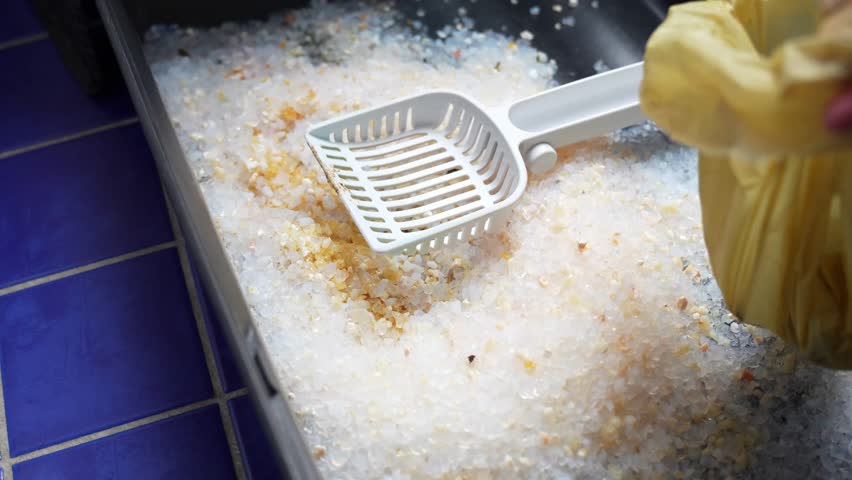 Close-up of hands scooping clumping cat litter from a litter box into a trash bag on bathroom tiles, showing messy pet waste and a hygiene routine.