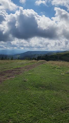 Scenic mountain meadow above a sea of clouds with forested ridges in the distance and clear blue sky. Peaceful natural landscape conveying freedom, calmness and untouched highland nature.