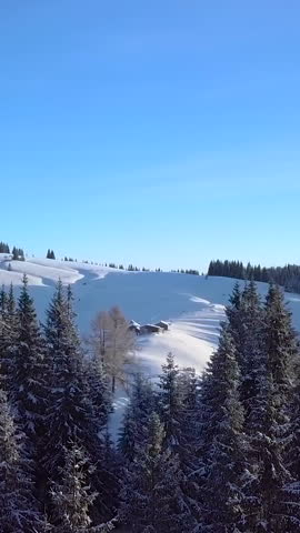Aerial view of A serene winter landscape showcases rolling snow-covered hills under a clear blue sky. A rustic cabin is surrounded by lush evergreen trees, creating a peaceful scene. Vertical footage