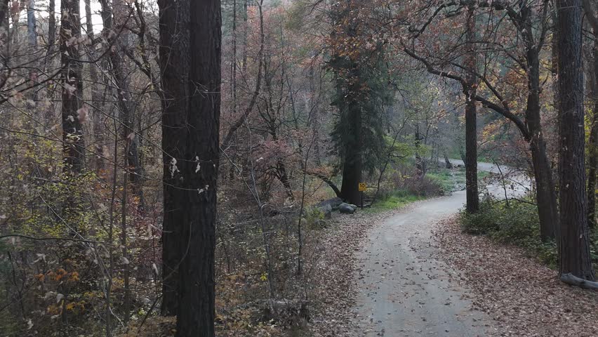 Drone View Of Forest Road In Sedona AZ During Fall 
