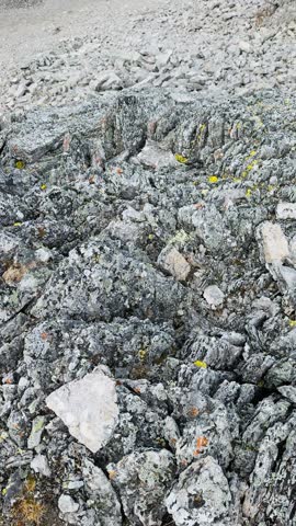 Autumn hike at Piggy Plus Col in the Canadian Rockies, featuring golden larch trees, rugged alpine terrain, and sweeping mountain views. Vibrant fall foliage contrasts with rocky peaks and open skies, capturing the beauty of autumn hiking season Kananaskis Provincial Park, Alberta, Canada. Ideal for travel, adventure, and nature concepts.