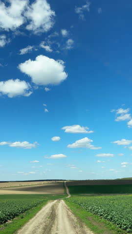 Scenic countryside road winding through agricultural fields