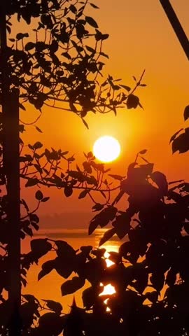 A 10-second cinematic sunset video showing the warm golden sun setting behind trees, creating a peaceful and natural silhouette scene. The glowing sky and soft light convey calmness, beauty, and the tranquility of nature. Ideal for nature backgrounds, travel visuals, relaxation content, and cinematic projects.