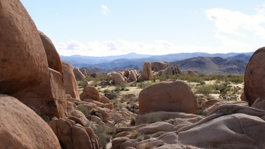 Peaceful Desert Landscape of Joshua Tree National Park