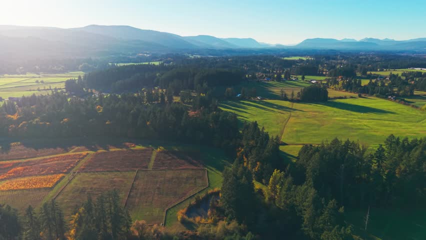Drone view of Cowichan Valley farmland and forests with mountains in the distance, showing rural landscapes on Vancouver Island, British Columbia.