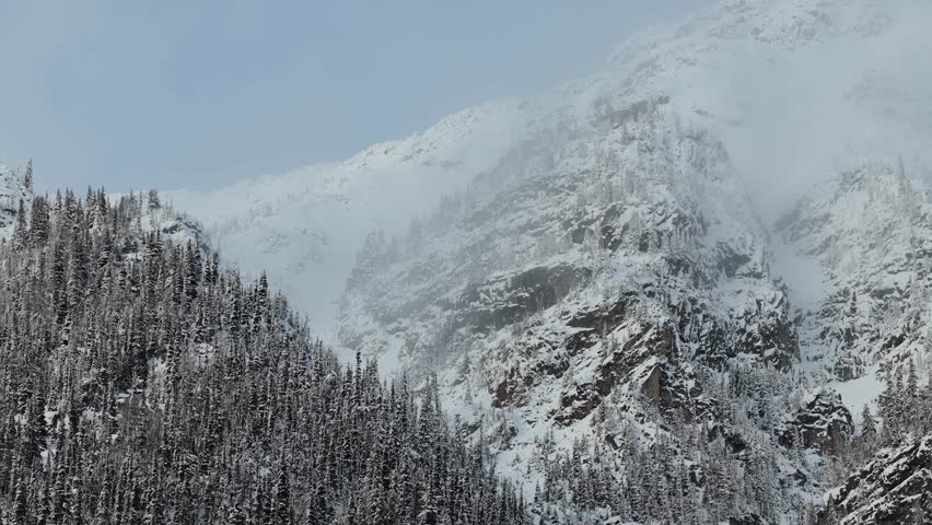 Majestic Snow-Covered Mountains and Pine Forests in British Columbia, Canada During Winter