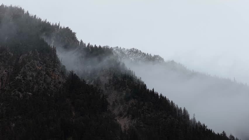 Misty Mountains and Dense Forest in British Columbia, Canada