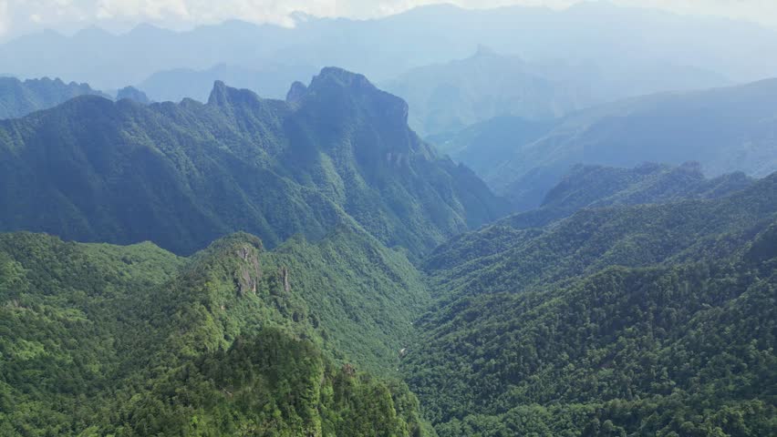 Breathtaking 4K UHD aerial time-lapse footage of Shennongjia Dajiuhu’s iconic alpine wetland scenery—nine connected lakes nestled among mountains, shrouded in ethereal morning mist and glowing under golden hour sunlight. Capturing cloud seas drifting over lush meadows, crystal-clear lakes reflecting sky and ridges, and the serene harmony of this peat bog ecosystem, the video embodies the "wetland in clouds" charm. Perfect for Shutterstock users—ideal for travel promotions, eco-tourism campaigns, nature documentaries and commercial projects seeking striking Chinese alpine wetland content.