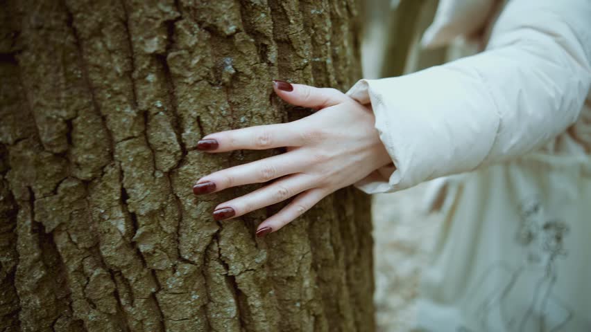 Female Hand Touching Textured Bark Of Ancient Oak Tree. Human Connection Nature And Environmental Care, Woman Exploring Rough Wood Surface In Forest. Tree Trunk Ecology Preservation Tactile Perception