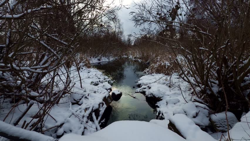 Narrow Unfrozen River Flowing Through Snow Covered Banks In Winter Forest. Stream Surrounded By Frosty Bushes And Bare Trees. Wintertime Landscape In Remote Wilderness. Seasonal Climate Cold Weather